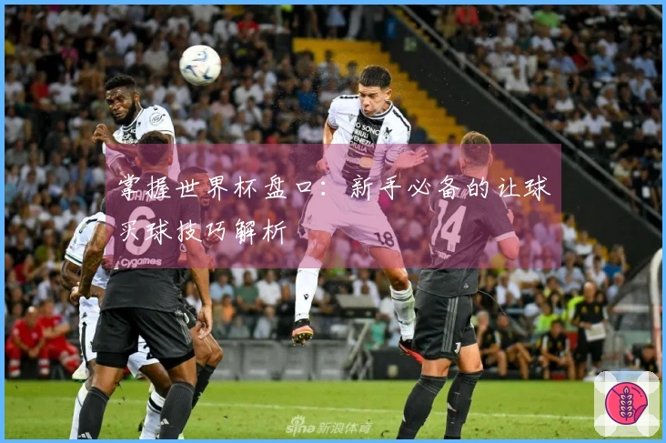 掌握世界杯盘口：新手必备的让球买球技巧解析