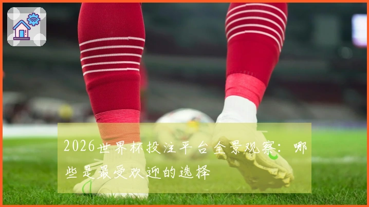 2026世界杯投注平台全景观察：哪些是最受欢迎的选择