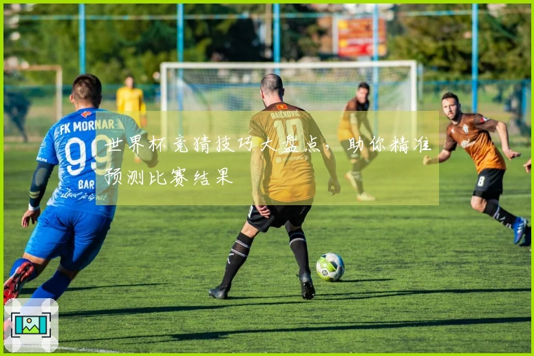 世界杯竞猜技巧大盘点,助你精准预测比赛结果
