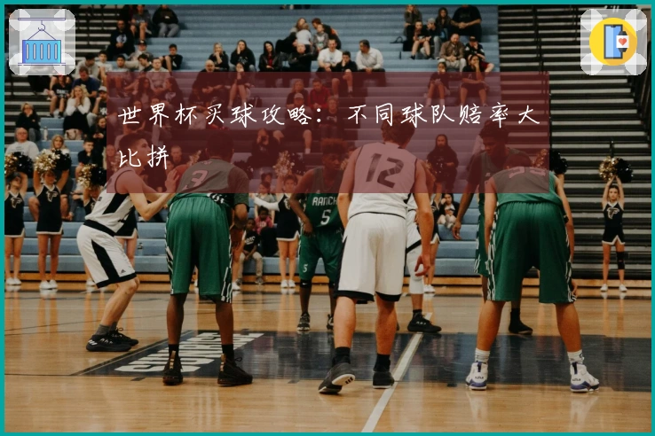 世界杯买球攻略：不同球队赔率大比拼