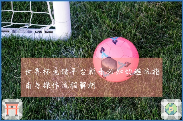 世界杯竞猜平台新手必知的避坑指南与操作流程解析