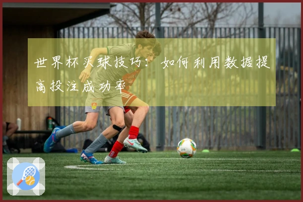 世界杯买球技巧：如何利用数据提高投注成功率
