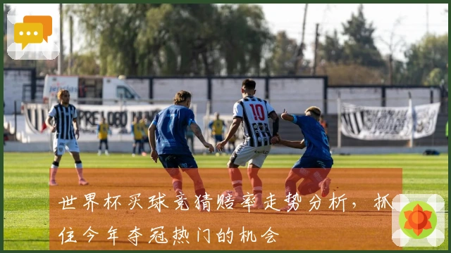 世界杯买球竞猜赔率走势分析,抓住今年夺冠热门的机会