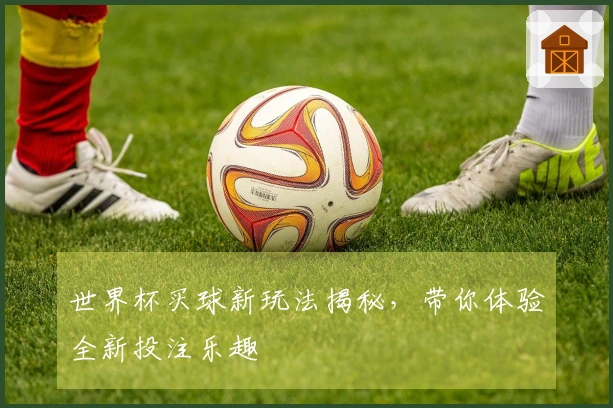 世界杯买球新玩法揭秘，带你体验全新投注乐趣