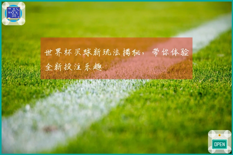 世界杯买球新玩法揭秘，带你体验全新投注乐趣