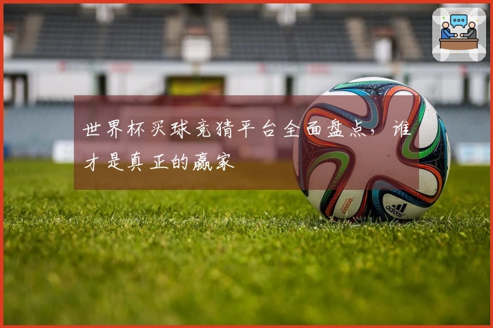 世界杯买球竞猜平台全面盘点，谁才是真正的赢家