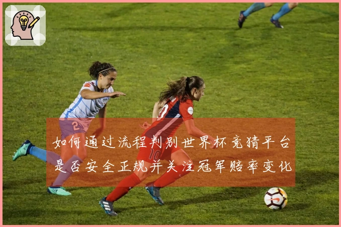 如何通过流程判别世界杯竞猜平台是否安全正规并关注冠军赔率变化
