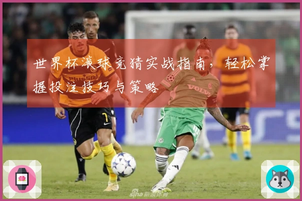 世界杯滚球竞猜实战指南，轻松掌握投注技巧与策略