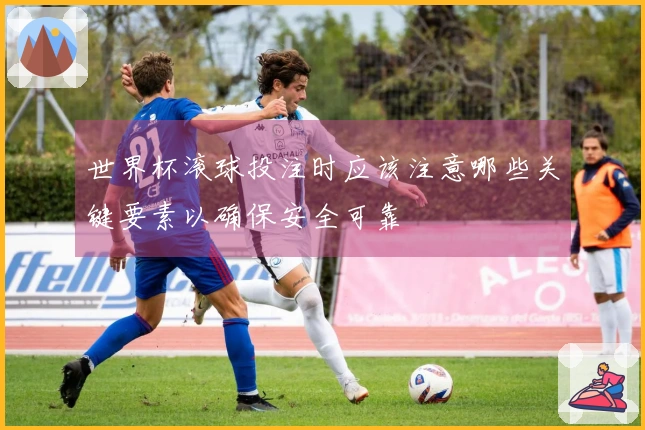 世界杯滚球投注时应该注意哪些关键要素以确保安全可靠