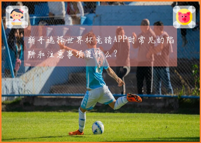 新手选择世界杯竞猜APP时常见的陷阱和注意事项是什么？