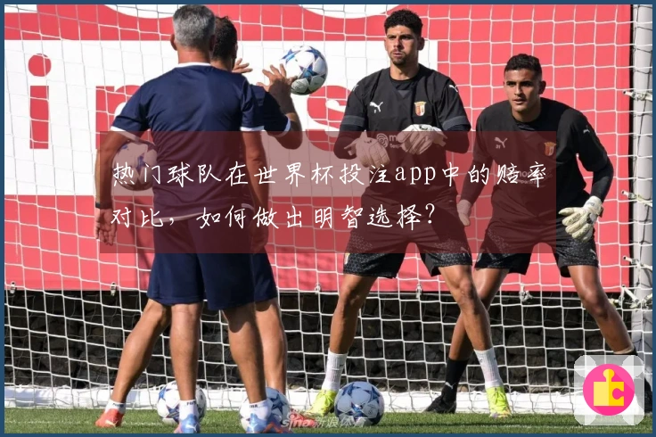 热门球队在世界杯投注app中的赔率对比，如何做出明智选择？