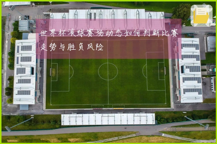 世界杯滚球赛场动态如何判断比赛走势与胜负风险