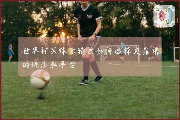 世界杯买球竞猜该如何选择更靠谱的玩法和平台