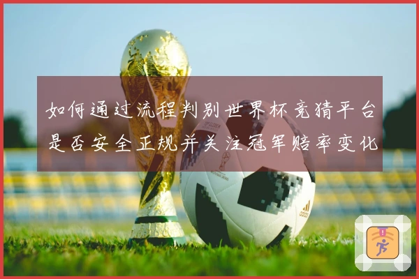 如何通过流程判别世界杯竞猜平台是否安全正规并关注冠军赔率变化