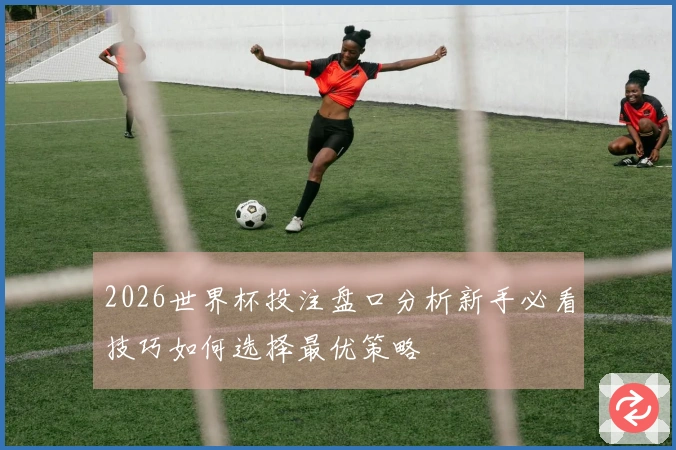 2026世界杯投注盘口分析新手必看技巧如何选择最优策略
