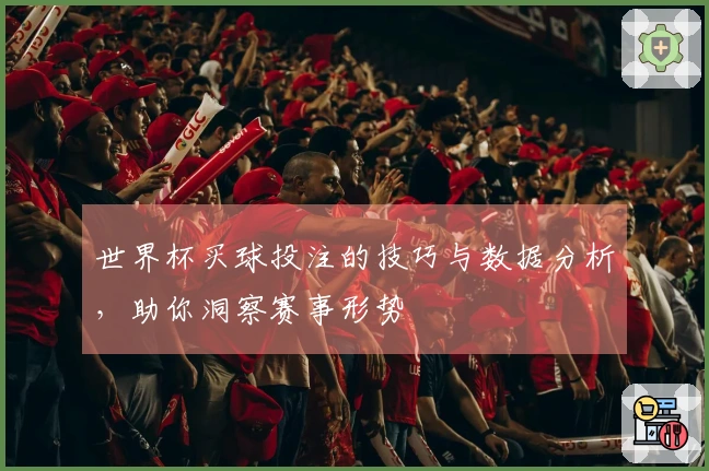 世界杯买球投注的技巧与数据分析，助你洞察赛事形势