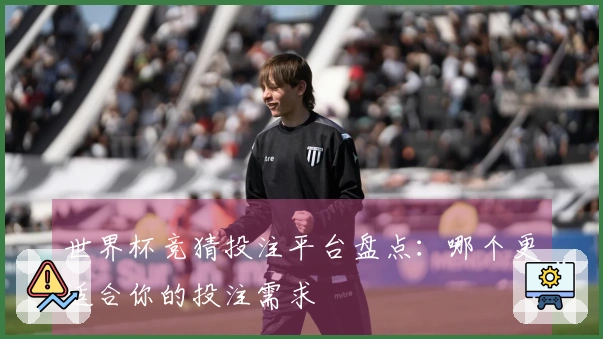 世界杯竞猜投注平台盘点：哪个更适合你的投注需求
