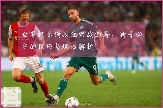 世界杯竞猜投注实战推荐,新手必学的技巧与玩法解析