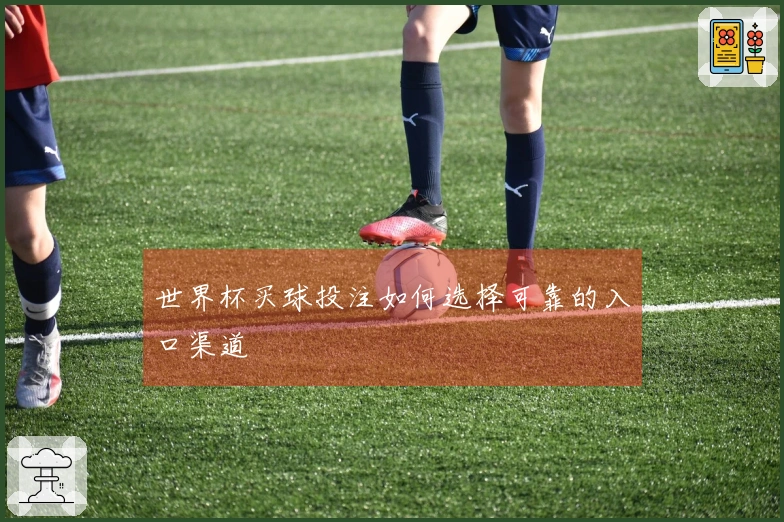 世界杯买球投注如何选择可靠的入口渠道