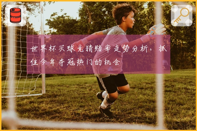 世界杯买球竞猜赔率走势分析，抓住今年夺冠热门的机会